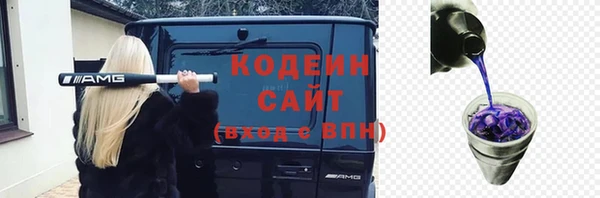мет Арсеньев