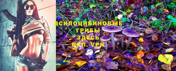 мет Покачи