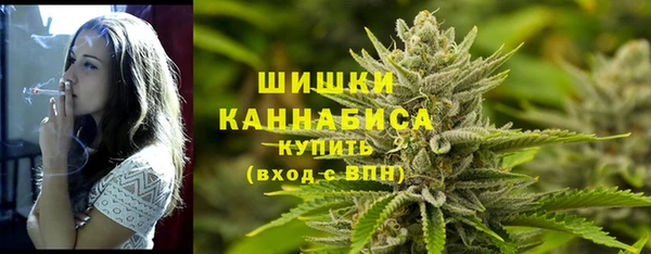мет Арсеньев