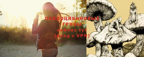 прущая мука Армянск