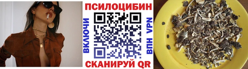 что такое   Могоча  Галлюциногенные грибы Psilocybe 
